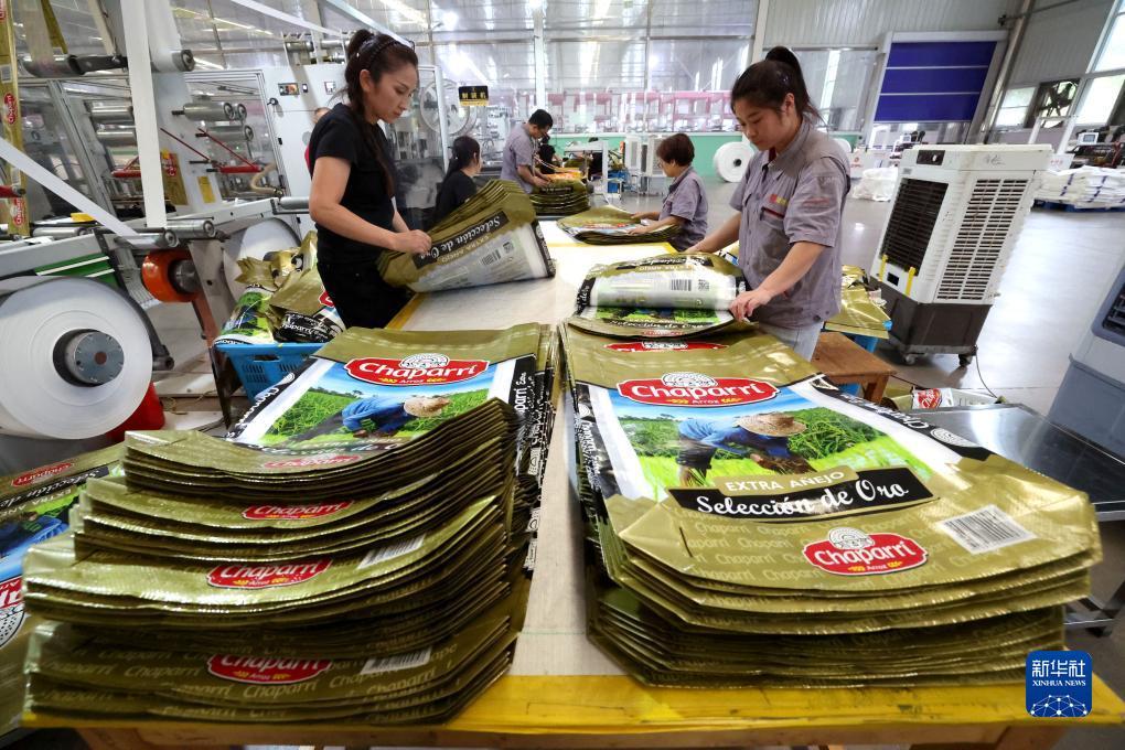 百家楽路单分析方法